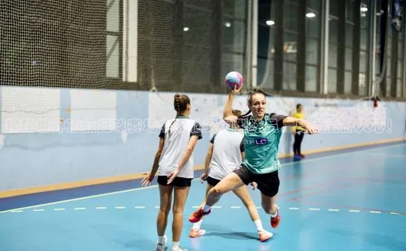 恒盛注册官网入口京东揭秘世界顶级足球赛场中最壮实力型球员，身高震撼人心！