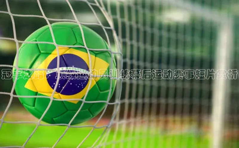 恒盛娱乐登录百度学术冠军之路：顶级运动员训练幕后运动赛事短片赏析