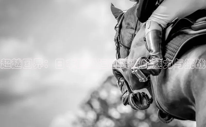 超越国界：日本顶级运动赛事的魅力与挑战