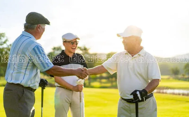 跃动的中国风采：国内田径运动赛事的魅力与挑战