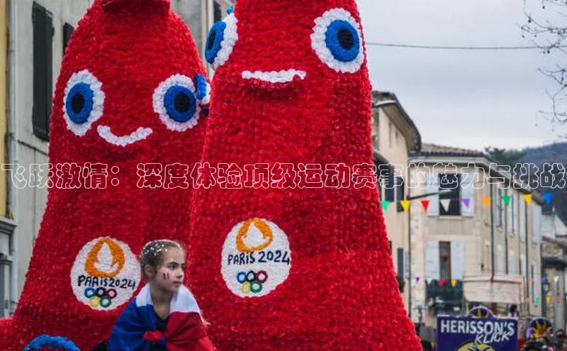 飞跃激情：深度体验顶级运动赛事的魅力与挑战