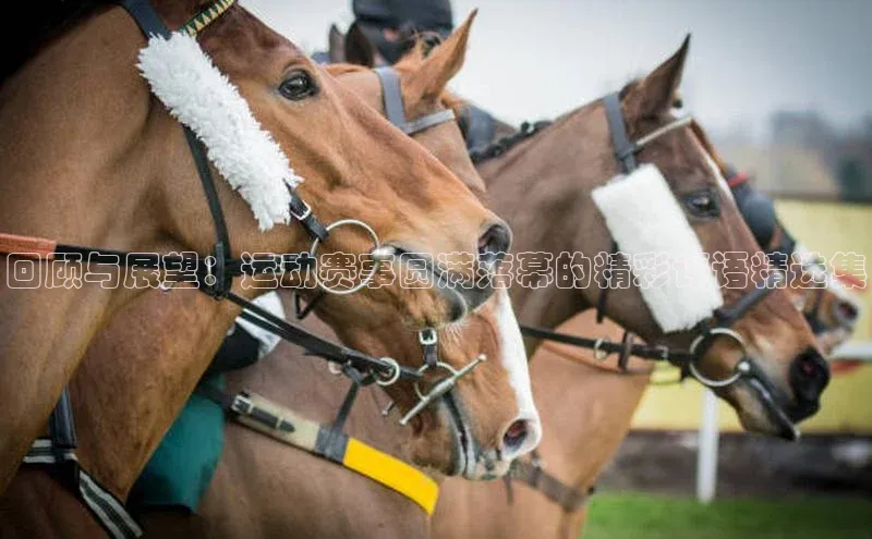 回顾与展望：运动赛事圆满落幕的精彩评语精选集