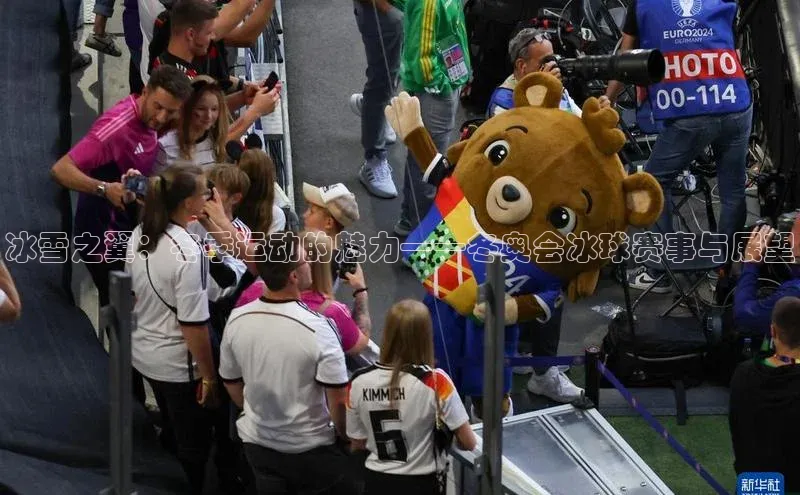 冰雪之翼：冬季运动的魅力——冬奥会冰球赛事与展望