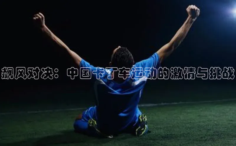 飙风对决：中国卡丁车运动的激情与挑战