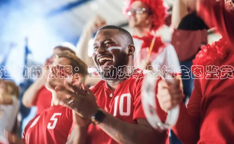 运动的极限：运动赛事器械全图鉴赏