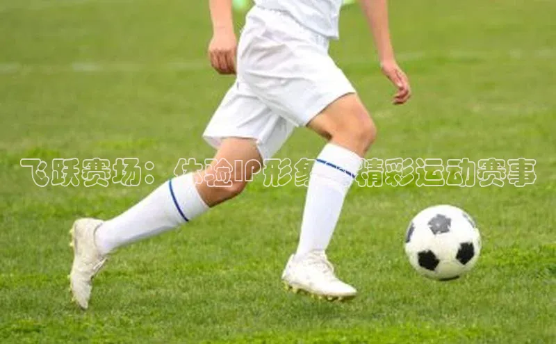 飞跃赛场：体验IP形象的精彩运动赛事