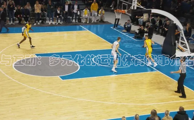 与互动：多元化的运动体育赛事介绍