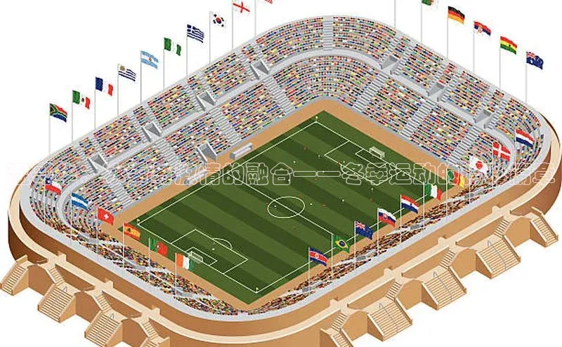 温哥华：冰雪与激情的融合——冬季运动的精彩篇章