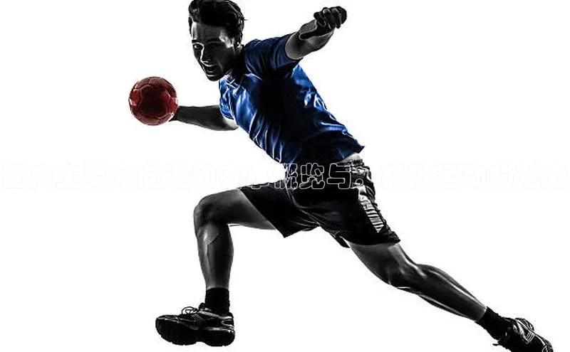 国内主要定向运动赛事概览与：极限运动的魅力