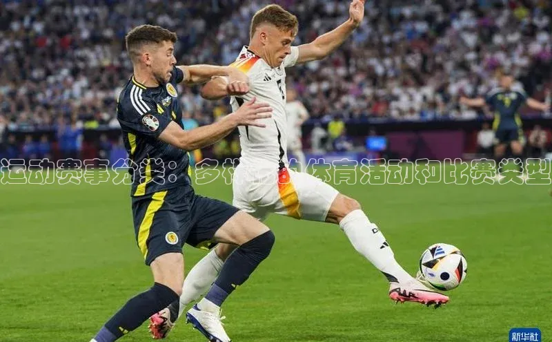 运动赛事分类：多样化的体育活动和比赛类型