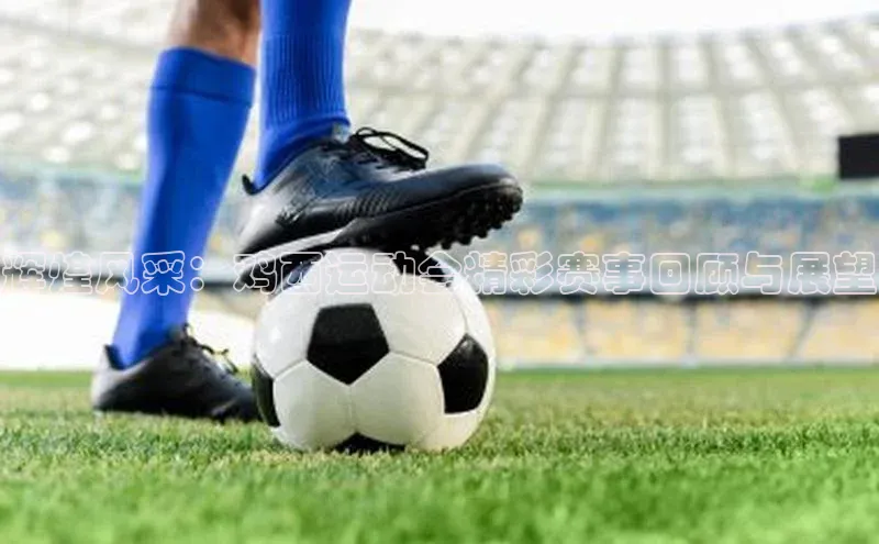 辉煌风采：鸡西运动会精彩赛事回顾与展望