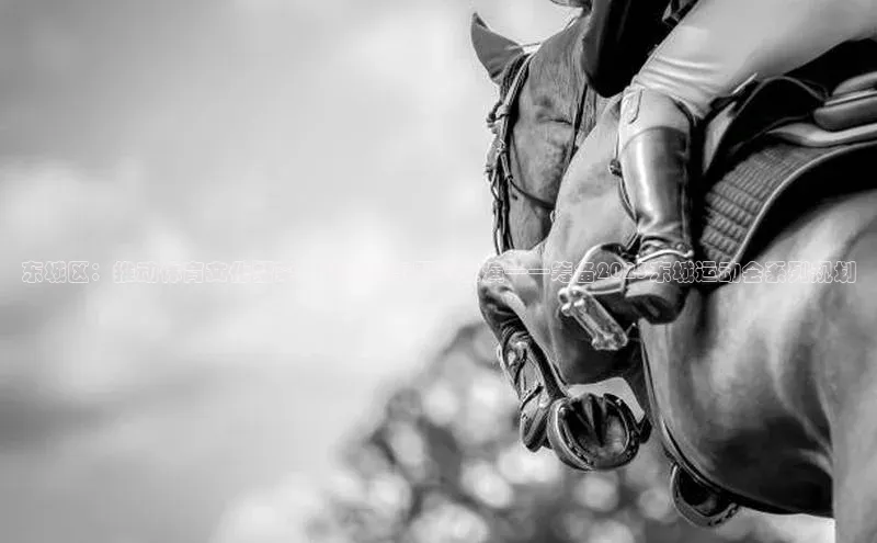 东城区：推动体育文化繁荣，精彩赛事即将上演——筹备2023东城运动会系列规划